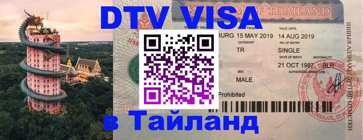 Оформление DTV визы под ключ: стоимость и тарифы, только загранпаспорт - Димитровград  20.11.2025 